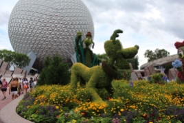 Pluto and Goofy in the marigolds and African Daisies.
