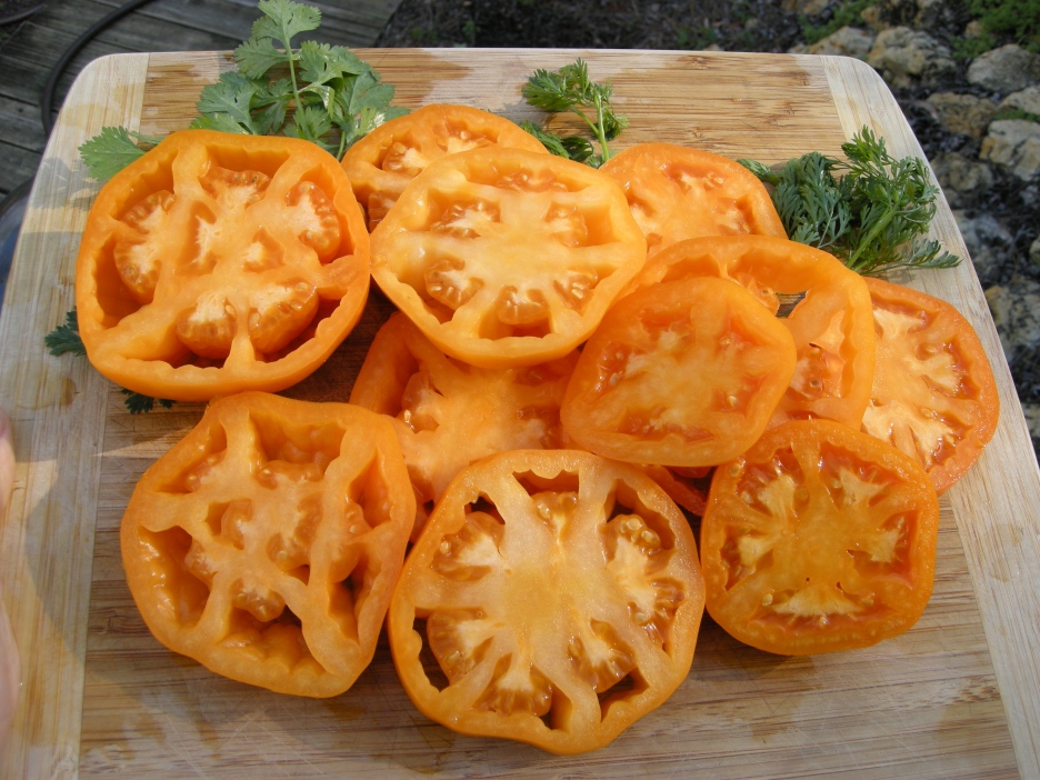 'Chef's Choice' tomato.